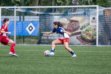 Bild 314 - F Hamburger SV 2 - SpVg Aurich : Ergebnis: 1:1